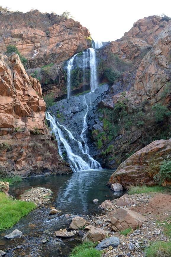 Libra Lodge Sandton Dış mekan fotoğraf